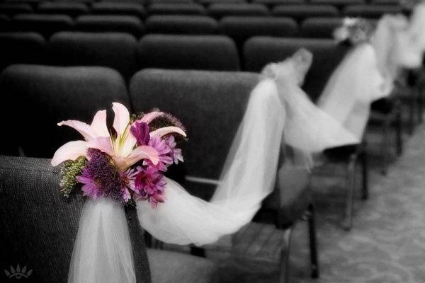 Tom Reeves Photography