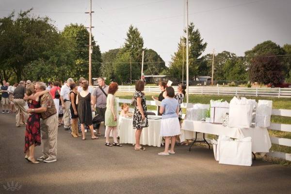 Tom Reeves Photography