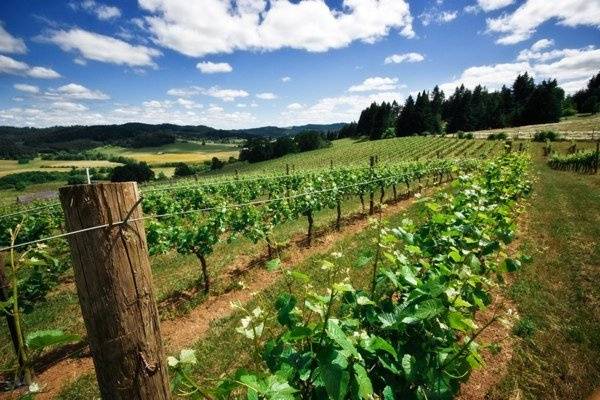 Tom Reeves Photography