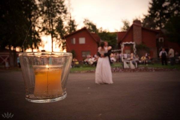 Tom Reeves Photography