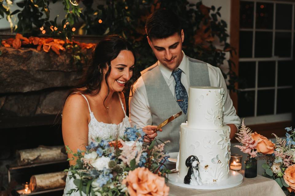Cake Cutting