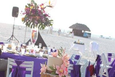 Carrie Darling Events