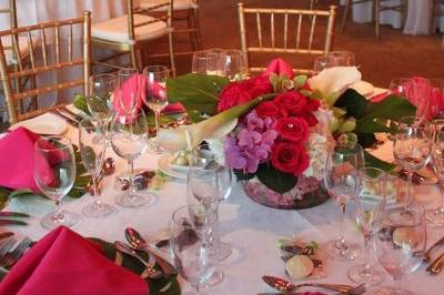 Carrie Darling Events