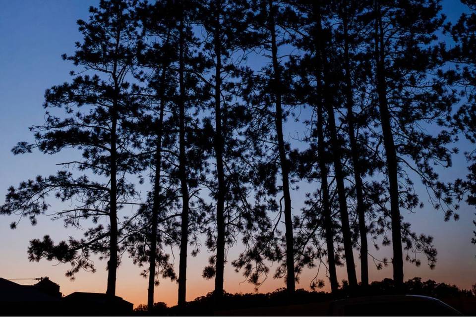Evening magic