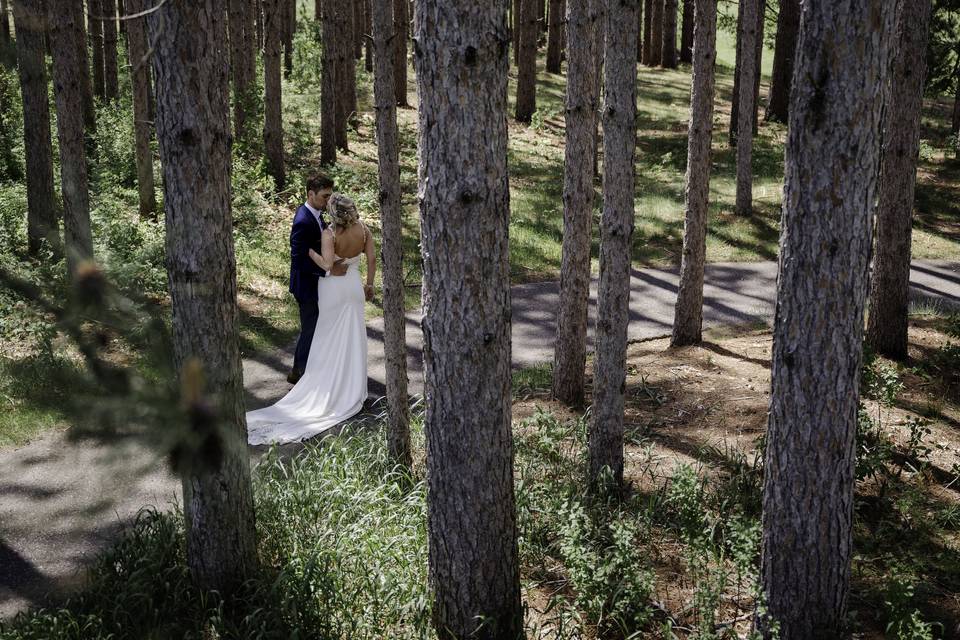 Pines