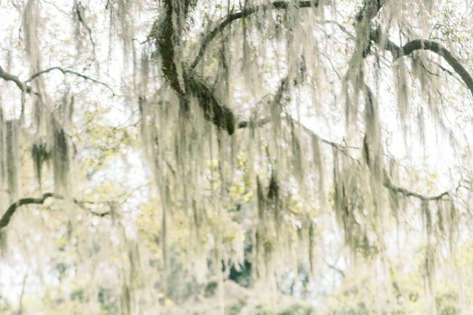 Megannollphotography