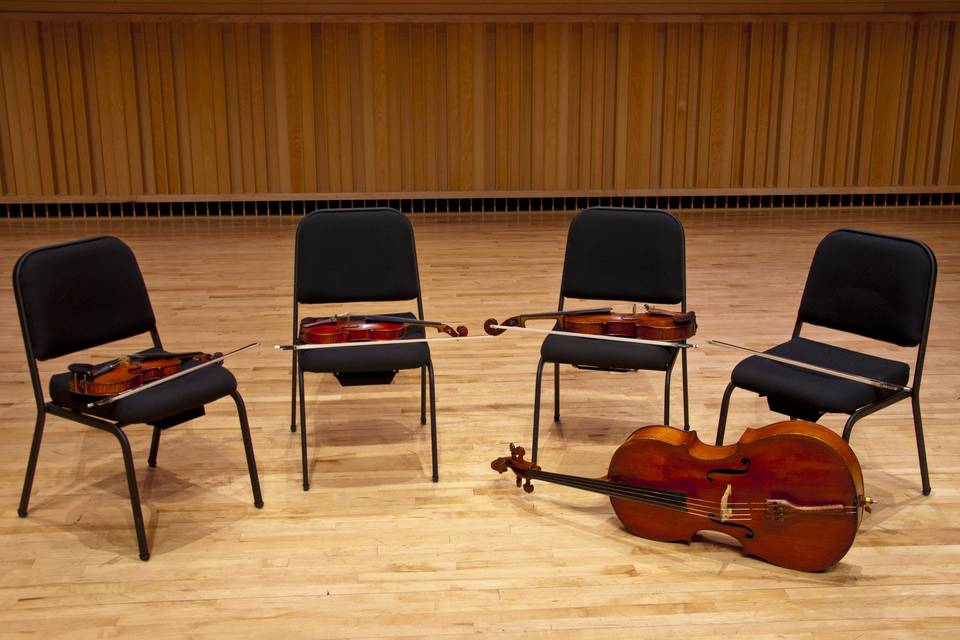 1 quartet, 4 instruments, 16 strings