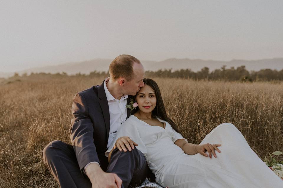 Couple sitting in golden field