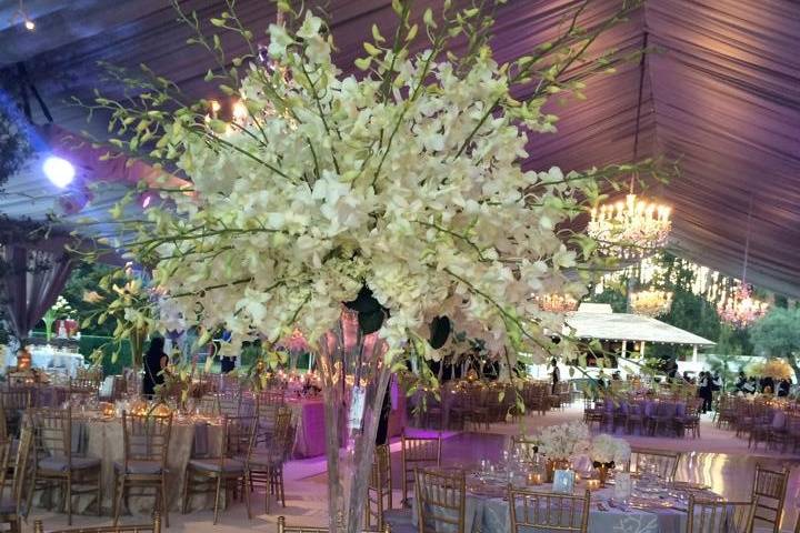 Table set-up with centerpiece