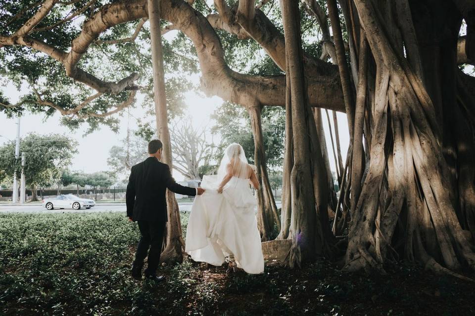 Under the Banyan Tree