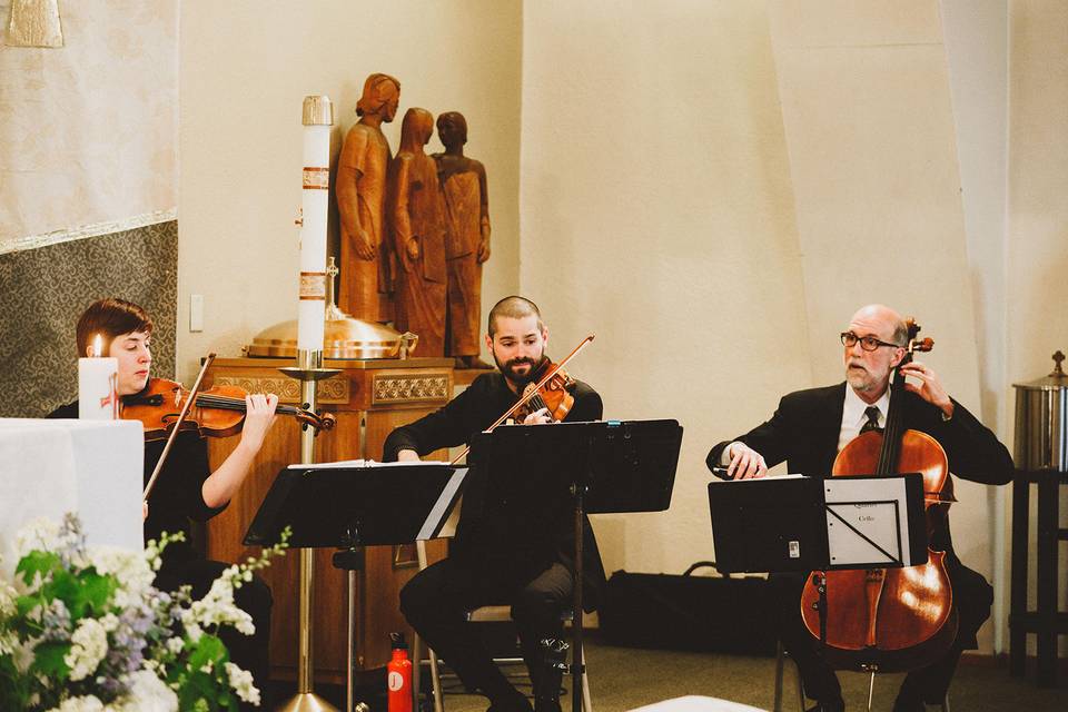 Wedding musician