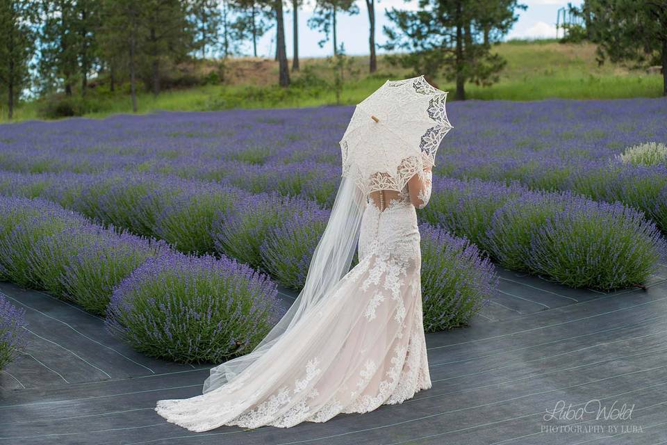 Lavender Manor Bride