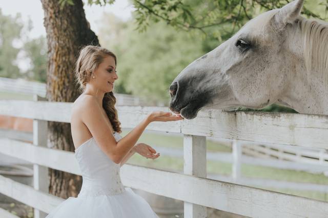 Stephanie Richer Photography