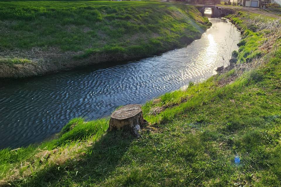Stream behind venue