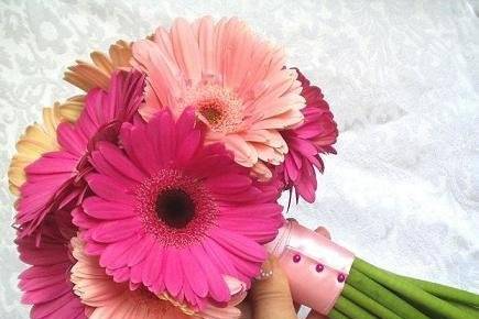 Pink gerberas