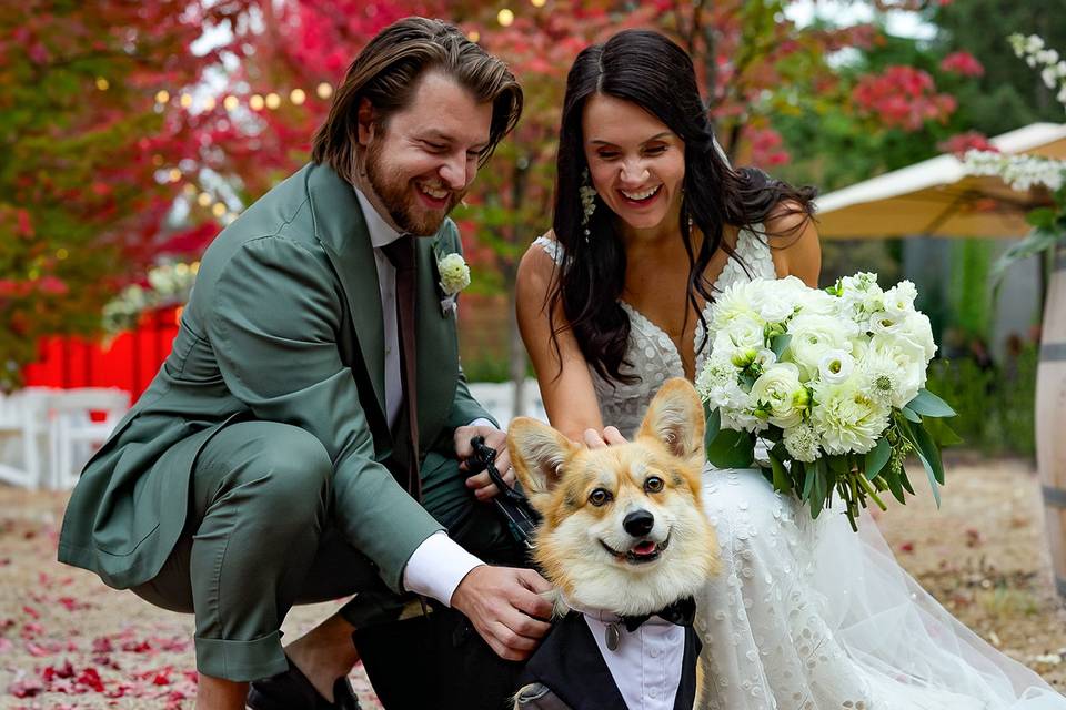 Corgi wedding