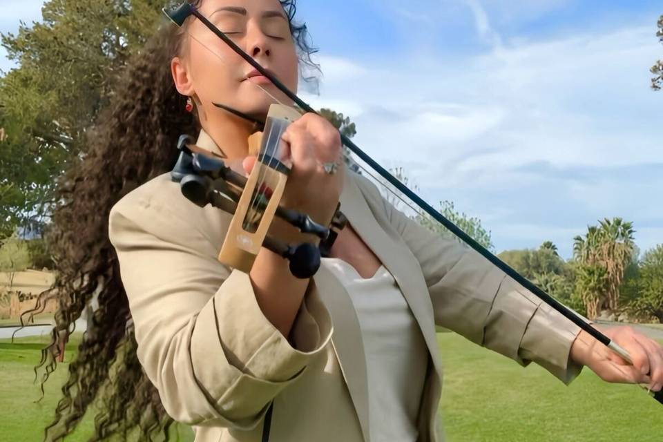 Violinist