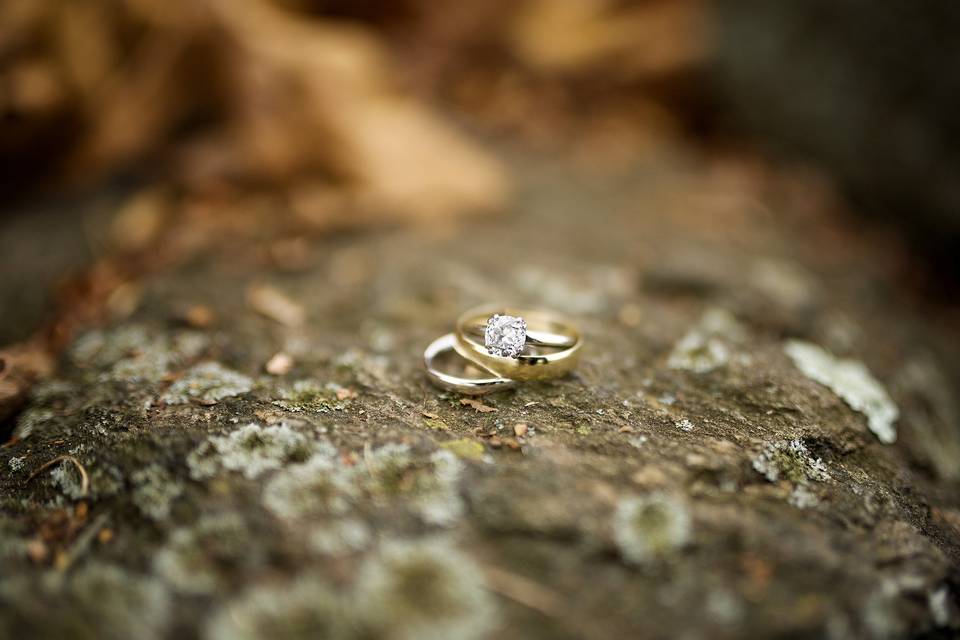 Amber Corryn Photography