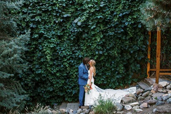 Ivy wall