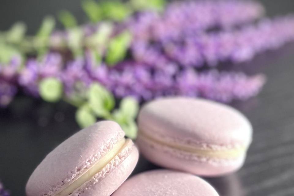 Lavender