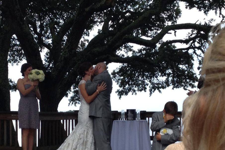 Wedding by the tree