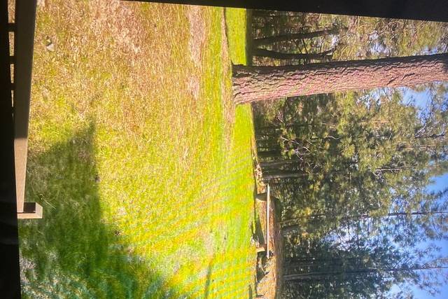 Back yard of Airbnb