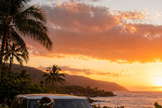 Diamond Lei Luxury Vehicles