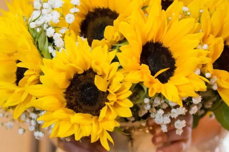 Sunflower bouquet