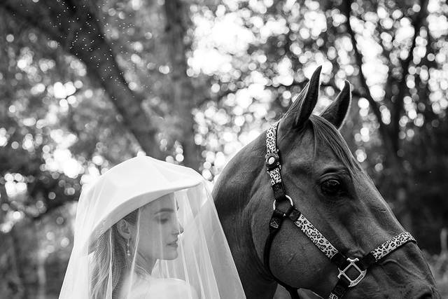 Bride with horse
