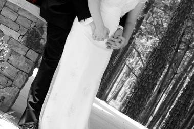 Homan Designs Photography