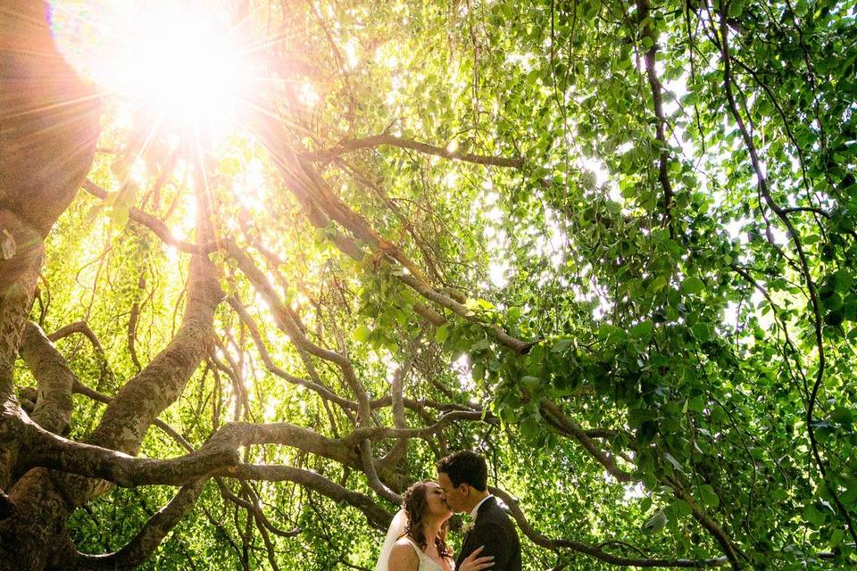 Couple under Tree