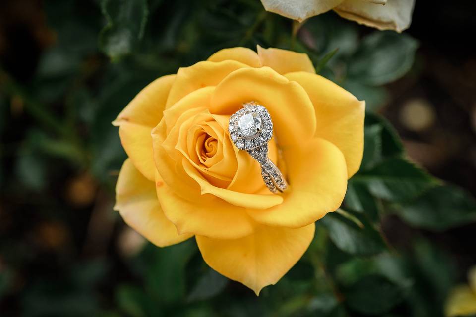 Engagement ring on flower