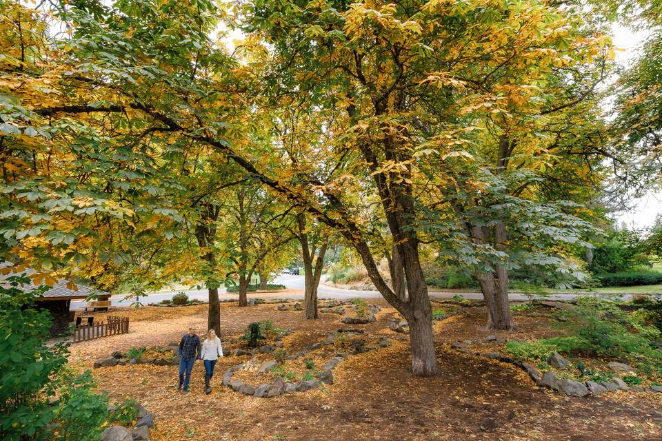 Walking under tree