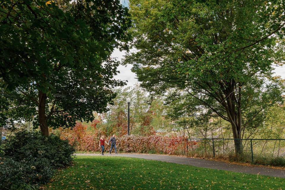 Engagement in park