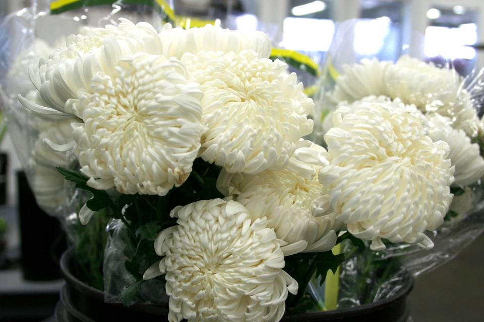 White flowers