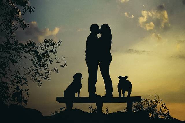 Brian Menz Photography
