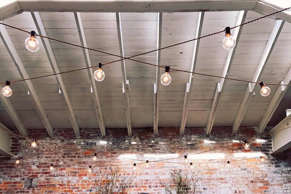 Our indoor Edison string light