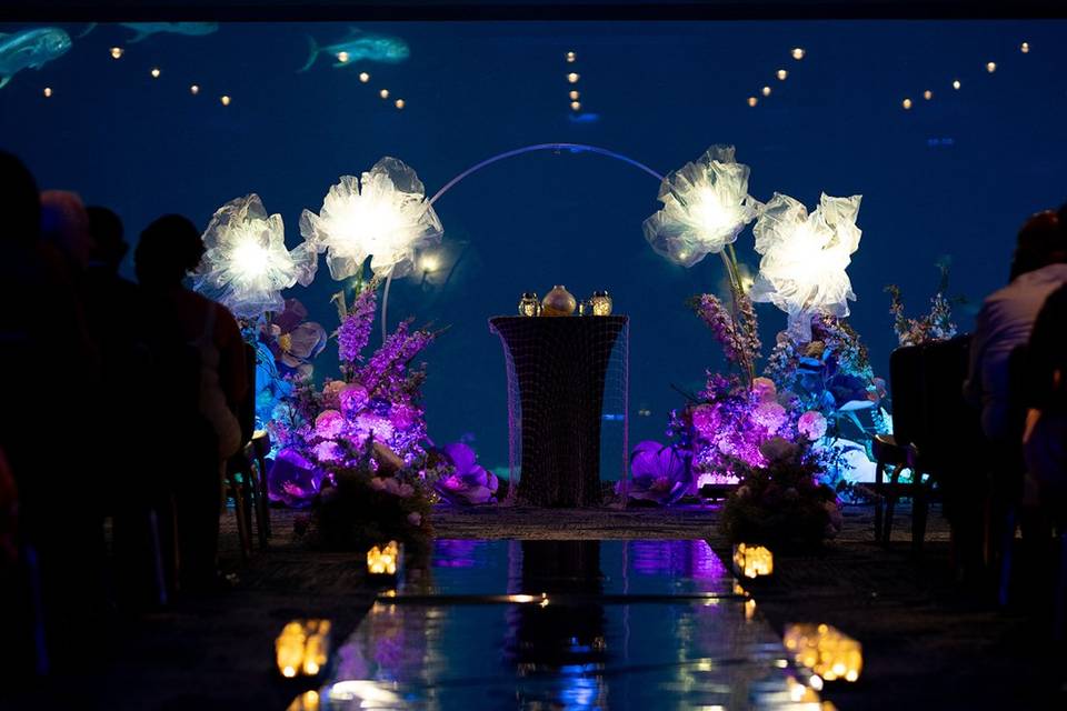 Aquarium wedding arch and aisl