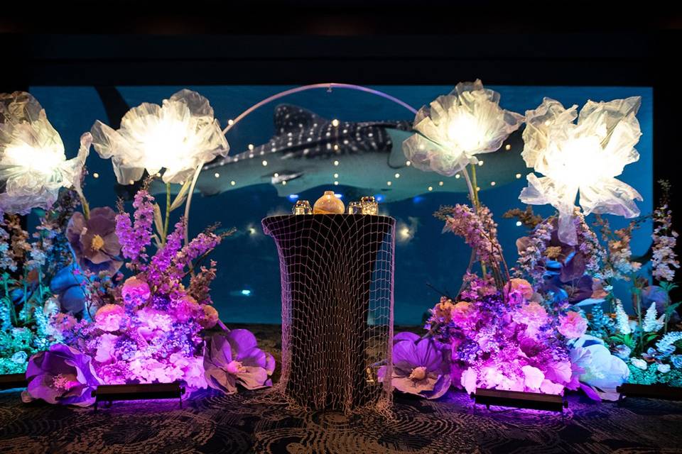 Aquarium wedding arch