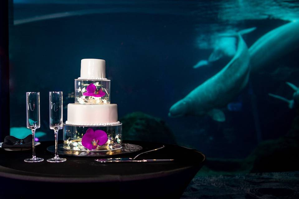 Cake decor