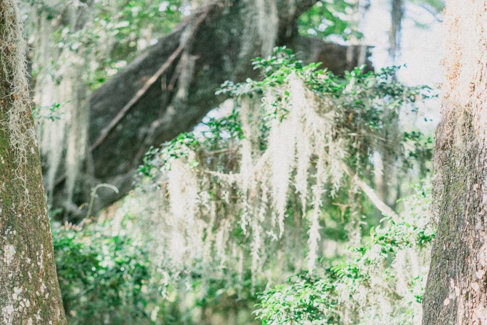 Engagement Session