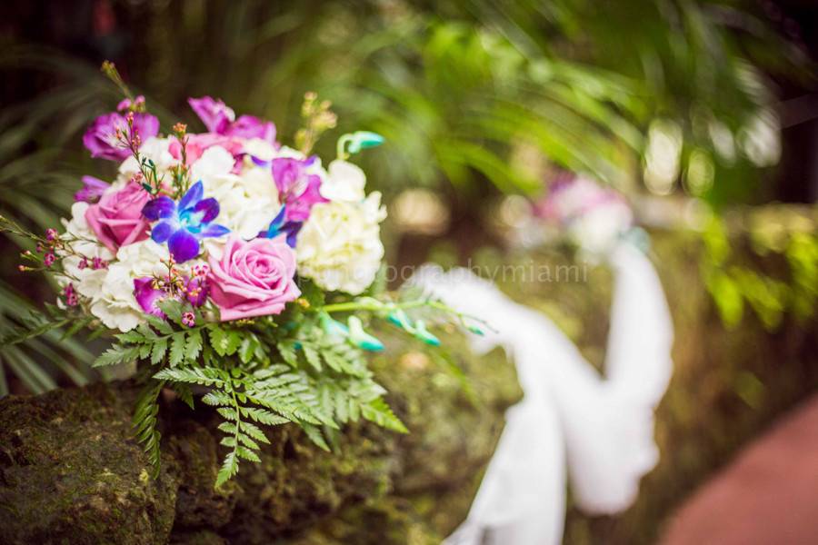 OCP Photography