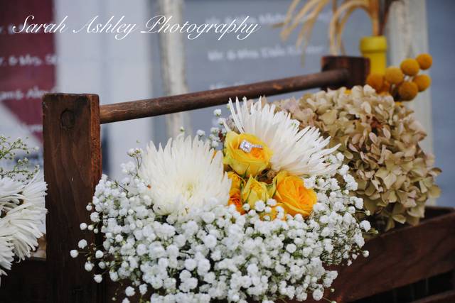 Sarah Ashley Photography