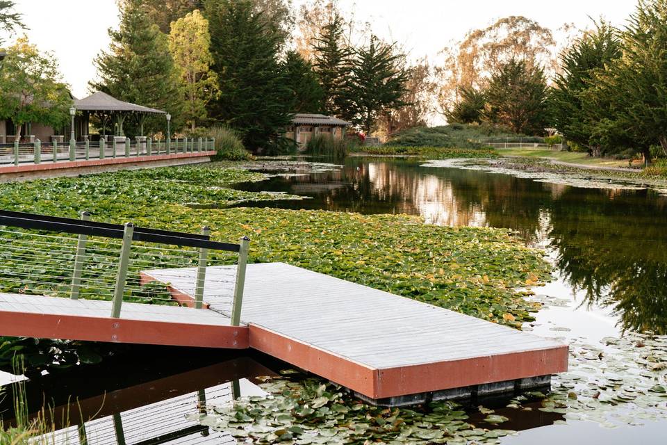 Lake and dock view from terrace