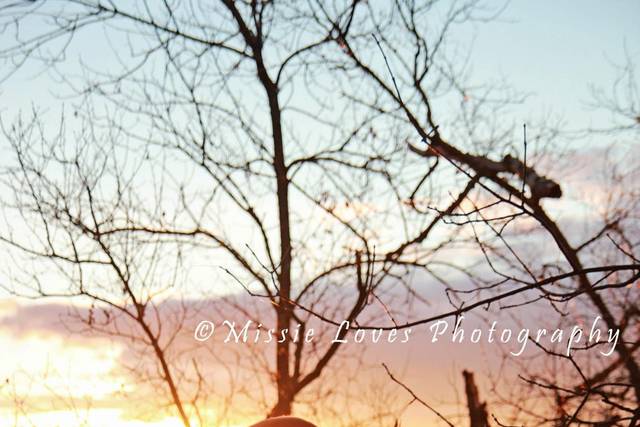 Missie Loves Photography