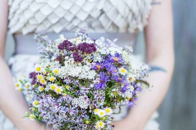 William's Wildflowers