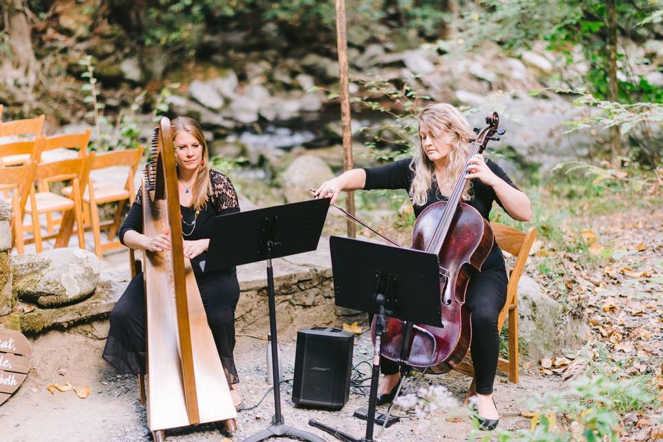 Harp + Cello Duo