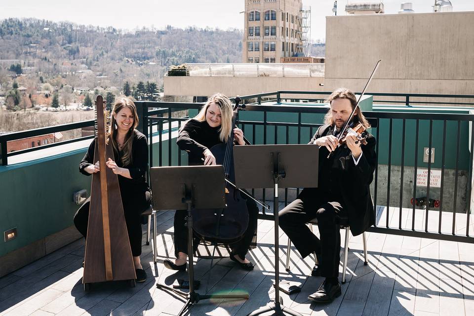 Harp Trio