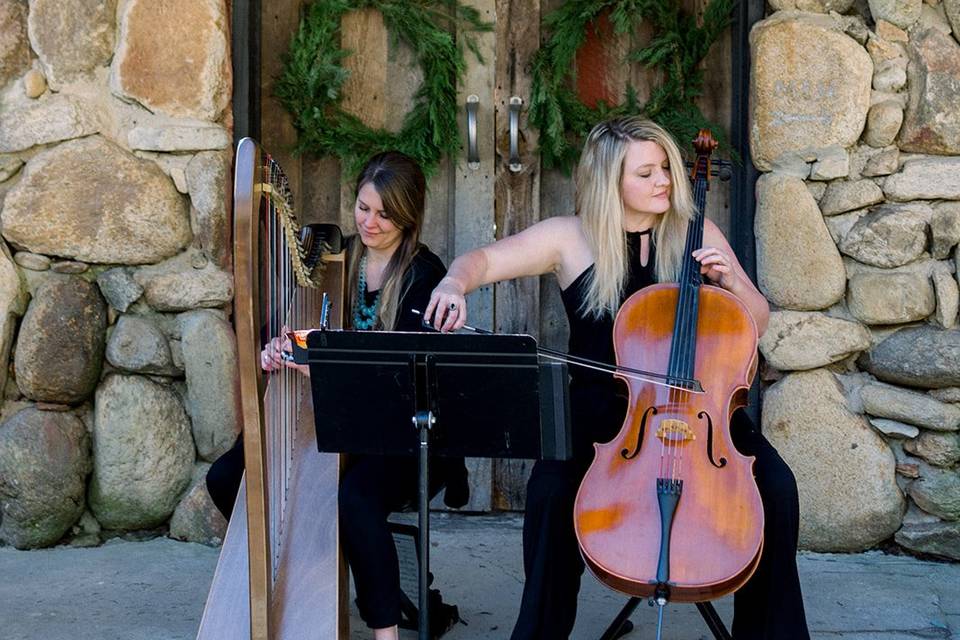 Harp and cello | Kelsey Halm