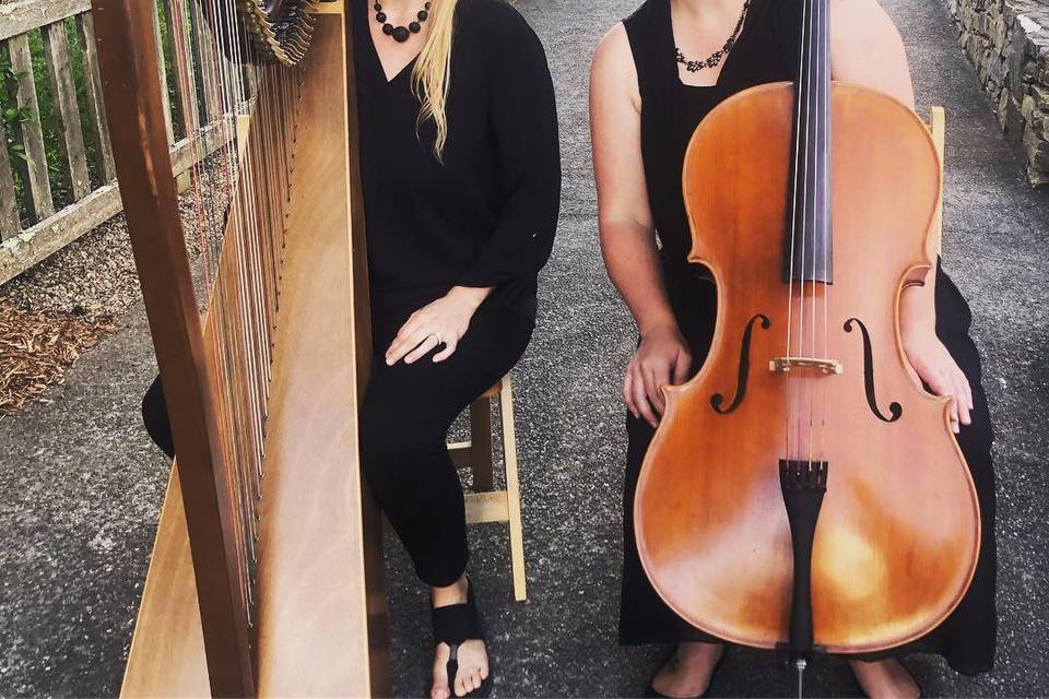 Harp and Cello